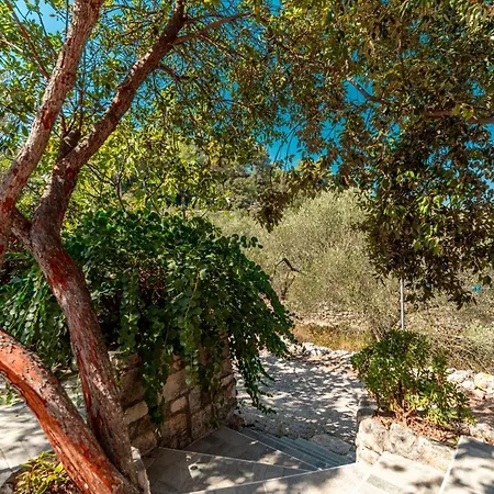 Holiday home House Rosa *